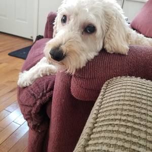 Meet your Posher, Gary